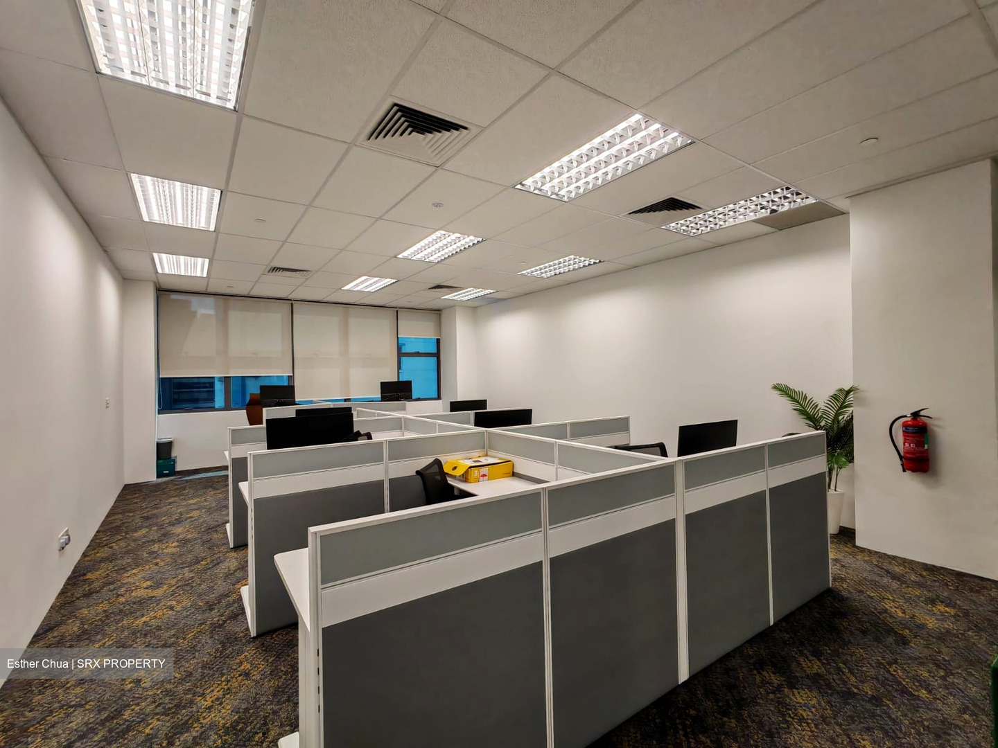 Bendemeer Road (D12), Factory #488859981